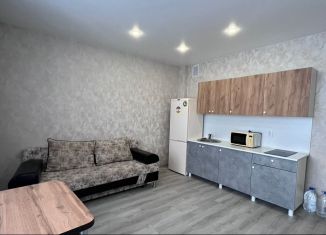 Аренда квартиры студии, 27 м2, Тюмень, улица Валентины Трофимовой, 8, ЖК Пятый квартал