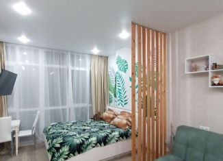 Продажа квартиры студии, 23 м2, Сочи, улица Тимирязева, 52/6, микрорайон Донская