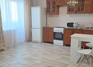 Сдается в аренду квартира студия, 28 м2, Республика Башкортостан, проспект Октября, 95