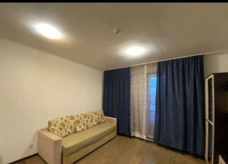 Продаю квартиру студию, 24.9 м2, Санкт-Петербург, Комендантский проспект, 66к1, муниципальный округ Коломяги