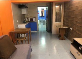 Сдается в аренду квартира студия, 25 м2, Сочи, Альпийская улица, 47А, микрорайон Больничный Городок