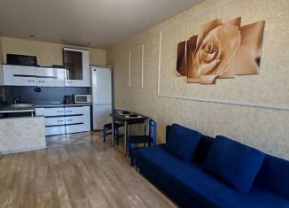 Сдается в аренду 1-комнатная квартира, 39 м2, Татарстан, улица Четаева, 14А