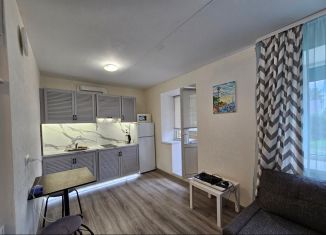 Квартира в аренду студия, 25 м2, Ревда, Садовая улица, 1