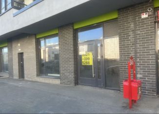 Продам помещение свободного назначения, 181 м2, посёлок Шушары, Старорусский проспект, 8к2