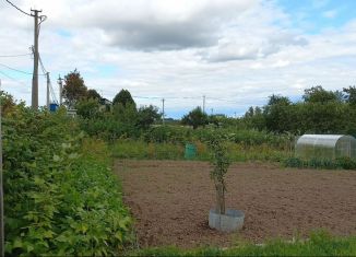 Продам дачу, 20 м2, Смоленск