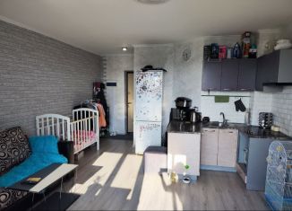 Квартира на продажу студия, 24.7 м2, Челябинск, улица Петра Столыпина, 13, Центральный район