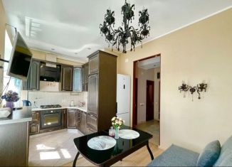 Сдаю 1-комнатную квартиру, 45 м2, Санкт-Петербург, Петровский переулок, 3