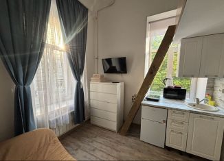 Сдам квартиру студию, 20 м2, Санкт-Петербург, Загородный проспект, 15