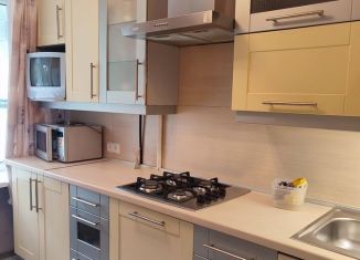 Сдаю в аренду 1-комнатную квартиру, 33 м2, Санкт-Петербург, проспект Маршала Блюхера, 49