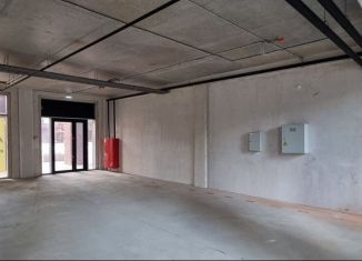 Сдается в аренду помещение свободного назначения, 95 м2, Новосибирская область, улица Семьи Шамшиных, 93