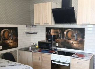 2-ком. квартира в аренду, 49 м2, Сочи, Пасечная улица, 61/2, микрорайон Донская