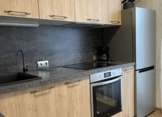 Сдаю в аренду 1-ком. квартиру, 36 м2, Санкт-Петербург, Ярославский проспект, 66к1