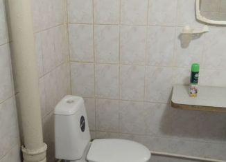 Сдача в аренду однокомнатной квартиры, 29.3 м2, поселок Самусь, улица Розы Люксембург, 8/3