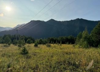 Продаю участок, 23.9 сот., Республика Алтай