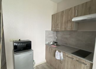 Продается квартира студия, 28 м2, Тула, Центральный территориальный округ, Рязанская улица, 23