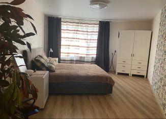 Сдается в аренду 1-ком. квартира, 39 м2, Санкт-Петербург, улица Руставели, 56