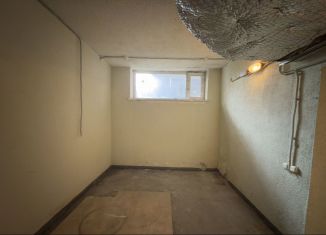 Продажа помещения свободного назначения, 14.4 м2, Санкт-Петербург, Дивенская улица, 5, Петроградский район