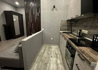 Сдам в аренду 3-комнатную квартиру, 52 м2, Сочи, улица Голенева, 17/4, микрорайон Заречный