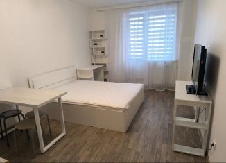 Сдам в аренду квартиру студию, 28 м2, Санкт-Петербург, Школьная улица, 6к2