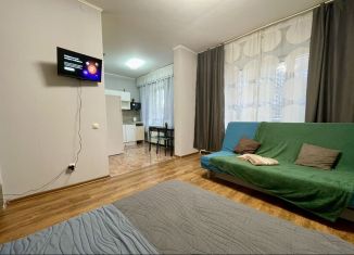 Сдам в аренду квартиру студию, 30 м2, Люберцы, Вертолётная улица, 4к2, ЖК Люберцы 2015