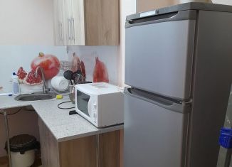 Сдаю квартиру студию, 50 м2, Республика Башкортостан, Октябрьская улица, 75