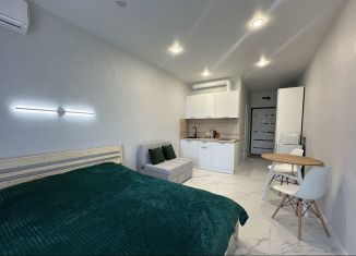 Сдам в аренду квартиру студию, 18 м2, Сочи, Ясногорская улица, 16/2 к12, микрорайон Бытха