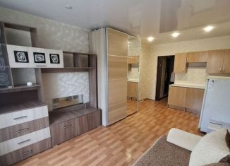 Сдаю в аренду квартиру студию, 22.4 м2, Республика Башкортостан, улица Ферина, 1/1