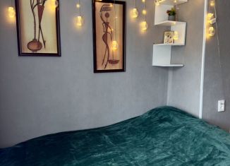 Сдаю однокомнатную квартиру, 20 м2, Тихвин, 3-й микрорайон, 34