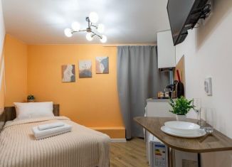 Сдача в аренду квартиры студии, 11 м2, Санкт-Петербург, набережная реки Фонтанки, 189