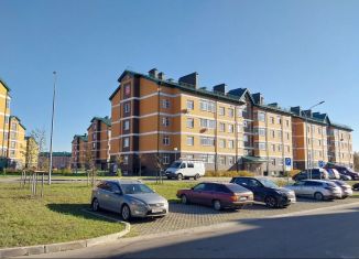 Продается квартира студия, 34.3 м2, деревня Марьино, Жемчужная улица, 1к4