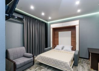 Квартира в аренду студия, 28 м2, Сочи, Санаторная улица, 9к2, микрорайон Новый Сочи