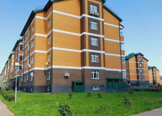 Продается квартира студия, 13.3 м2, деревня Марьино, Жемчужная улица, 1к9