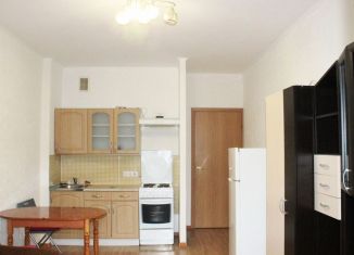 Сдача в аренду квартиры студии, 25 м2, Санкт-Петербург