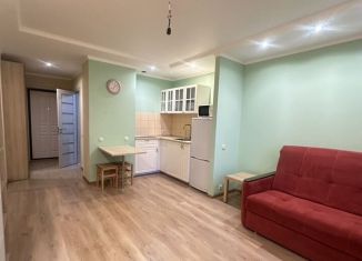 Продаю квартиру студию, 30 м2, Ростов-на-Дону, Заводская улица, 25