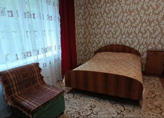 Сдаю в аренду трехкомнатную квартиру, 62 м2, Арзамас, улица Мира, 27А