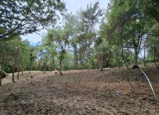 Продажа земельного участка, 36 сот., Сочи