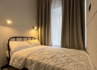 Сдается в аренду квартира студия, 14 м2, Санкт-Петербург, Московский проспект, 47