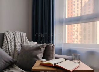 Сдам квартиру студию, 28.1 м2, Люберцы, Некрасовский проезд, 7, ЖК Люберцы 2018