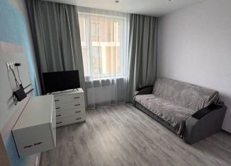 2-комнатная квартира в аренду, 50 м2, Лыткарино, 6-й микрорайон, 33