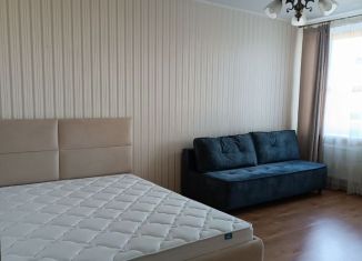 1-ком. квартира в аренду, 41 м2, Калининград, Аэропортная улица, 1А