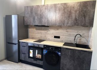 Сдается 1-ком. квартира, 37.6 м2, Краснодар, Гаражная улица, 87, Западный округ