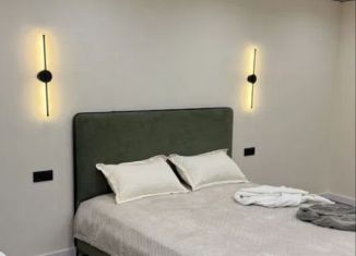 Сдам квартиру студию, 25.4 м2, Краснодар, улица Петра Метальникова, 5к1, Музыкальный микрорайон