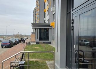 Продажа 2-ком. квартиры, 57 м2, Воронеж, улица Пескова, 10