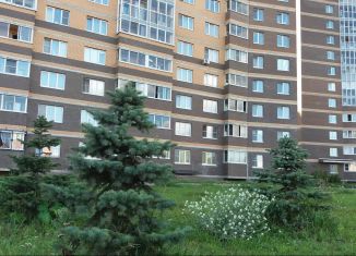 Сдача в аренду 1-ком. квартиры, 38 м2, Санкт-Петербург, Кушелевская дорога, 7к6