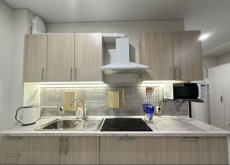 Аренда квартиры студии, 23 м2, Краснодарский край, улица Красных Партизан, 1/4к3