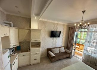 Квартира на продажу студия, 28.1 м2, Сочи, Белорусский переулок, 1, микрорайон Центральный