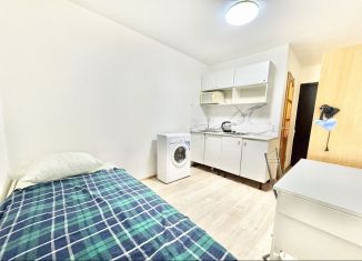 Квартира в аренду студия, 15 м2, Санкт-Петербург, Кадетская линия, 17