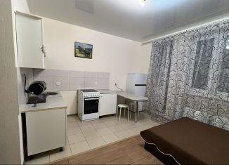 Сдаю в аренду квартиру студию, 25 м2, Мурино, Охтинская аллея, 14