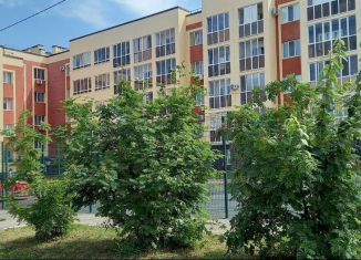 Квартира на продажу студия, 19.6 м2, село Михайловка, Сливовая улица, 3