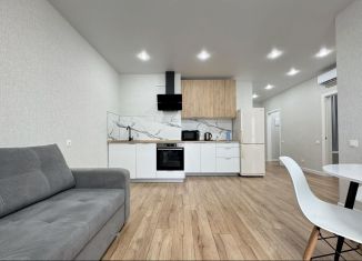 Аренда 1-ком. квартиры, 48 м2, Республика Башкортостан, улица Менделеева, 132/1